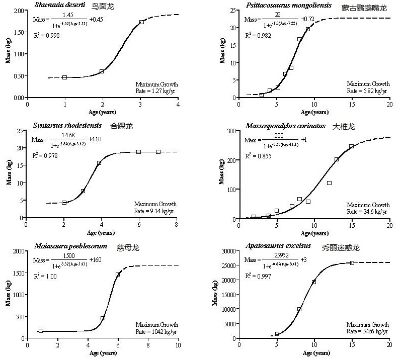 上图：6种不同大小恐龙的快速成长周期。古生物学家研究恐龙骨头里的生长轮后发现，恐龙的成长过程中，有一个快速生长的青春期。比如：巨大的秀丽迷惑龙（Apatosaurus Excelsus）的快速生长期大约从5岁开始，此时的迷惑龙不到1吨重，但在快速生长期里，每年体重会增加5吨多，直到12–13岁时才渐趋平缓，重达25吨左右。大型恐龙在进入快速生长期之前都很小，带进方舟完全没有问题。它们出方舟后之所以能长得如此巨大，是因为爬行动物的身体可以持续生长，直到死亡为止，而哺乳动物到达成年期就停止生长了。