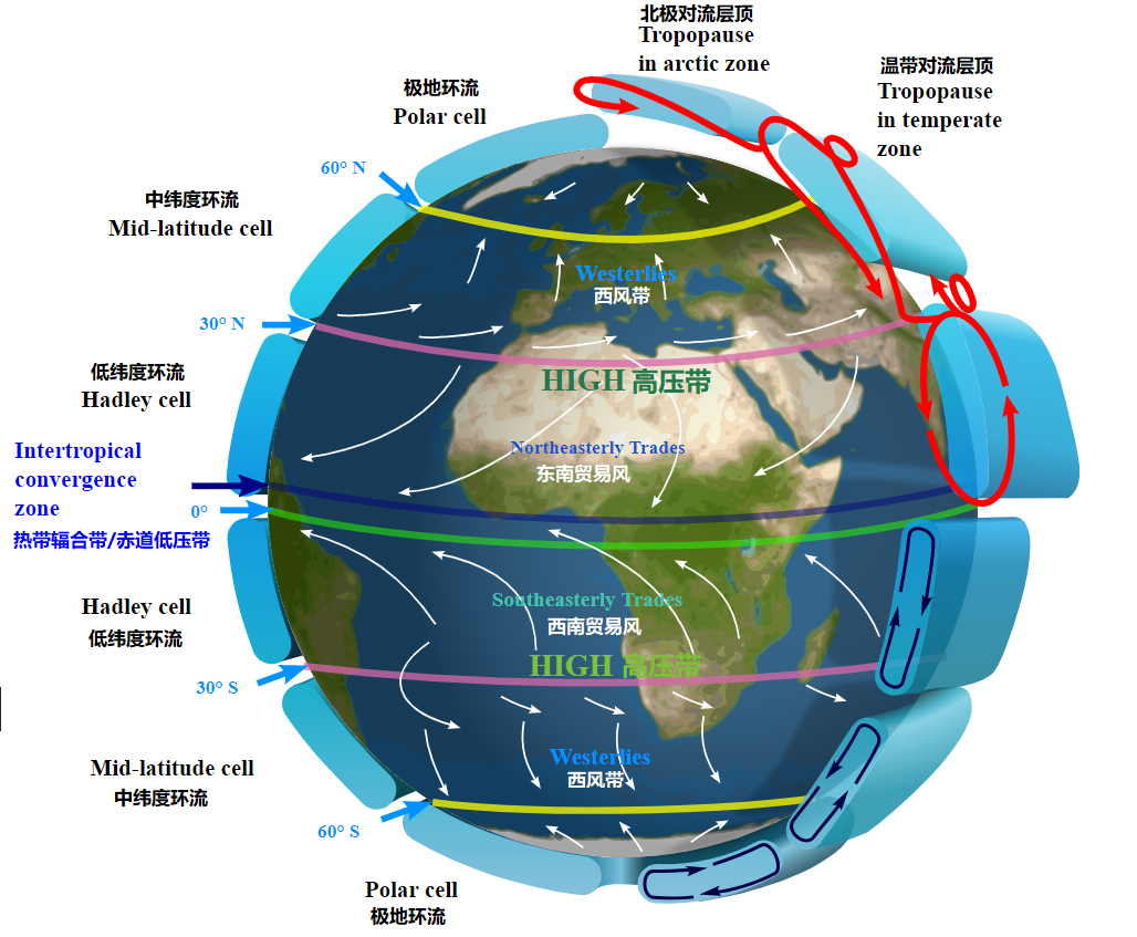 上图：现代科学家发现的地球的大气环流（Atmospheric circulation）模型，证明「风往南刮，又向北转，不住地旋转，而且返回转行原道」（传一6）。大气环流是地球表面大规模的空气流动，重新分配了地球上的热量和水汽，地球上的风带和天气现象主要由极地环流（Polar cell）、中纬度环流（Ferrel cell）和低纬度环流（Hadley cell）三个大环流相互作用而产生。